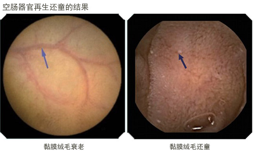 加拿大pc28预测(中国区)官方网站