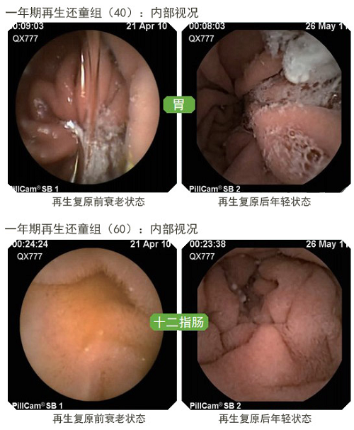 加拿大pc28预测(中国区)官方网站