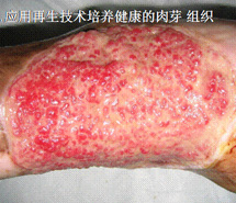 加拿大pc28预测(中国区)官方网站