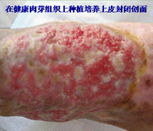 加拿大pc28预测(中国区)官方网站