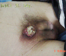 加拿大pc28预测(中国区)官方网站