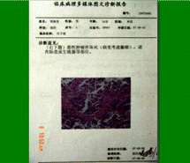 加拿大pc28预测(中国区)官方网站