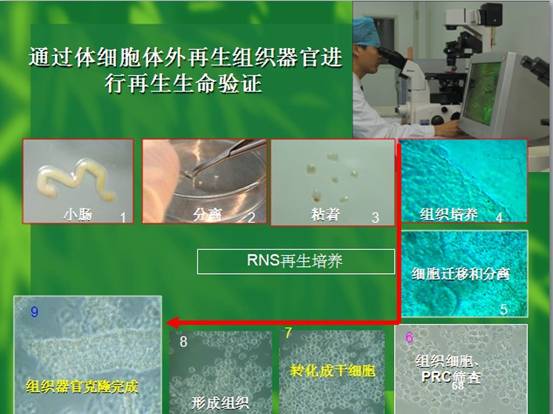 加拿大pc28预测(中国区)官方网站