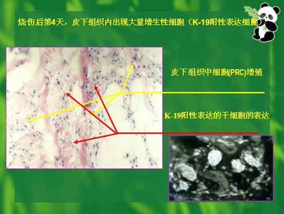 加拿大pc28预测(中国区)官方网站