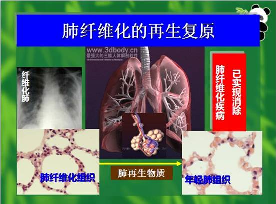 加拿大pc28预测(中国区)官方网站