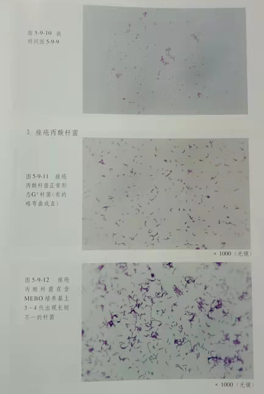 加拿大pc28预测(中国区)官方网站