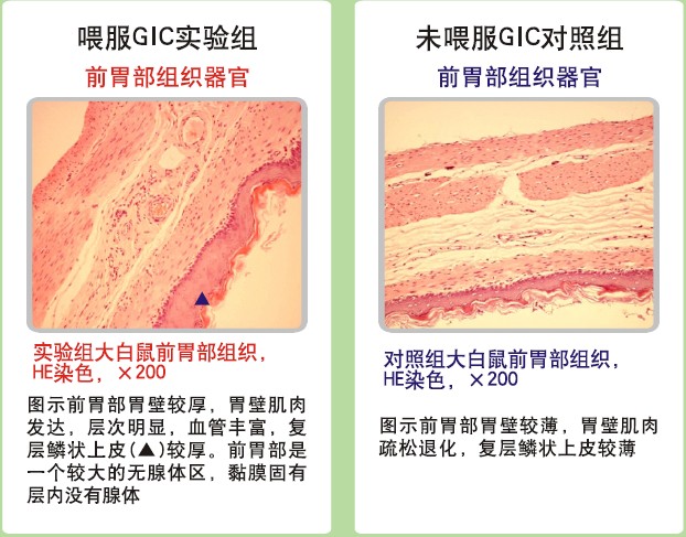 加拿大pc28预测(中国区)官方网站