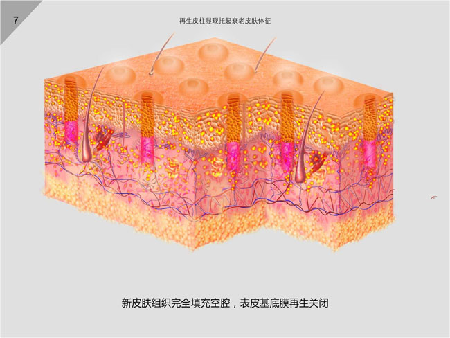 加拿大pc28预测(中国区)官方网站