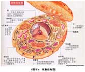 加拿大pc28预测(中国区)官方网站